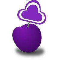 insight plum logo image