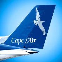 cape air logo image