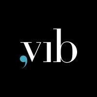 vib adv group logo image