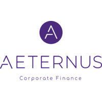 aeternus bv logo image