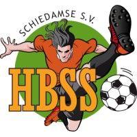 ssv hbss logo image