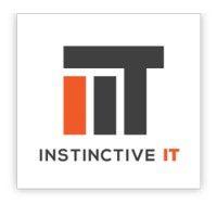 instinctive it logo image