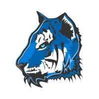 blu tiger academy logo image