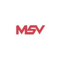 msv consultancy logo image