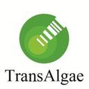 logo of Transalgae