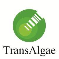 transalgae logo image