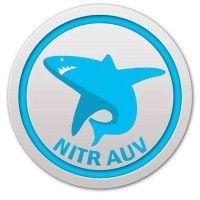 team tiburon - the autonomous underwater vehicle team of nit rourkela logo image