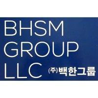 bhsm group llc logo image