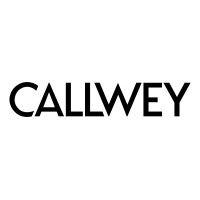 callwey verlag logo image