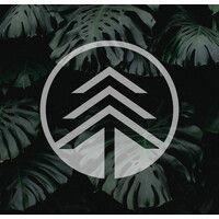 the higher path collective logo image