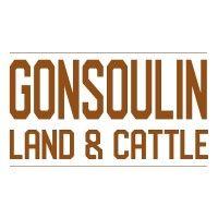 gonsoulin land & cattle logo image