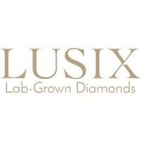 lusix logo image