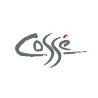 cosse ltd logo image