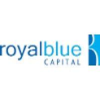 royal blue capital, llc logo image