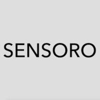 sensoro logo image