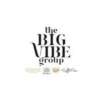 the big vibe group logo image