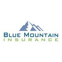 blue mountain insurance, inc. logo image