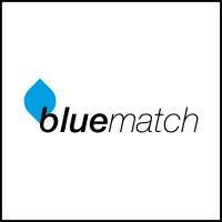 bluematch impact concepts bv logo image