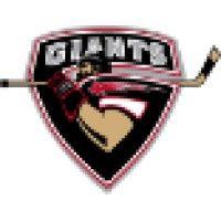 vancouver giants hockey club logo image