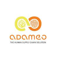 adameo logo image