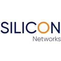 silicon networks logo image