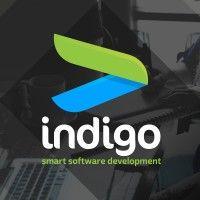 indigo smart software development