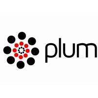 plum solutions logo image