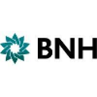 bahrain national holding b.s.c. (bnh) logo image