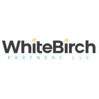 white birch partners llc (formerly the levy group, inc.)