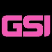 geisel software, inc.