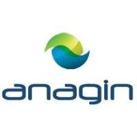 anagin inc logo image