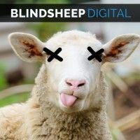 blindsheep digital logo image