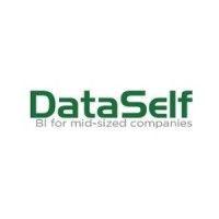 dataself corp logo image