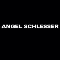 angel schlesser sl logo image