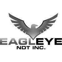 eagle eye ndt inc. logo image