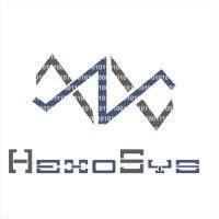 hexosys group logo image