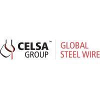 global steel wire logo image