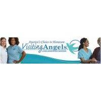 visiting angels homecare logo image