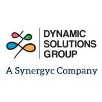 dynamic solutions group bulgaria logo image