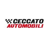 ceccato automobili spa logo image