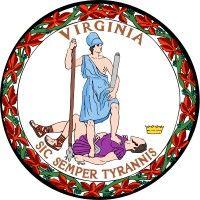 virginia department for the blind and vision impaired logo image