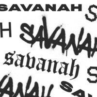 savanahdebrosse.com logo image