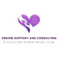 endow support and consulting logo image