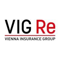 vig re logo image