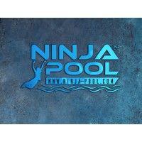 ninja pool logo image