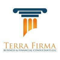 terra firma business and financial consultants llc