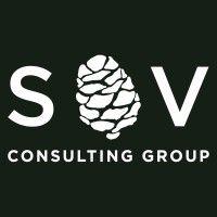 sv consulting group logo image