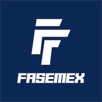 fasemex logo image