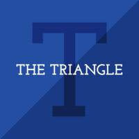 the triangle logo image