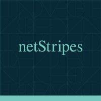 netstripes | digital - ai & marketing for results logo image